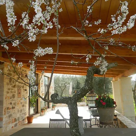 Fontana Vecchia Bed and Breakfast Castellana Grotte