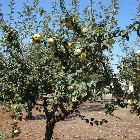 Fontana Vecchia Bed and Breakfast