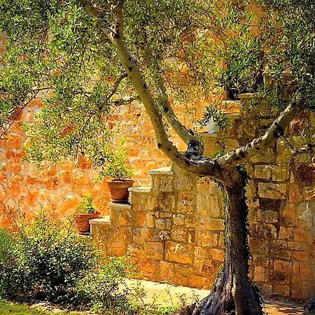 Fontana Vecchia Bed and breakfast