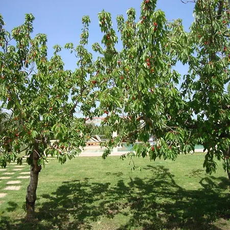 Fontana Vecchia