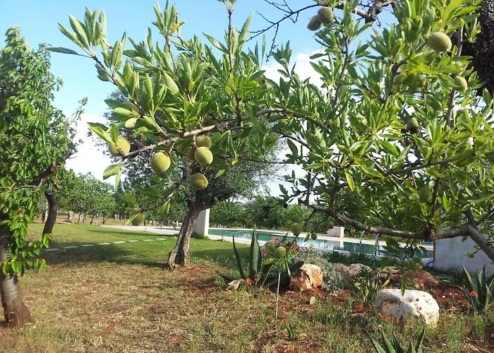 Fontana Vecchia לינה וארוחת בוקר 4*